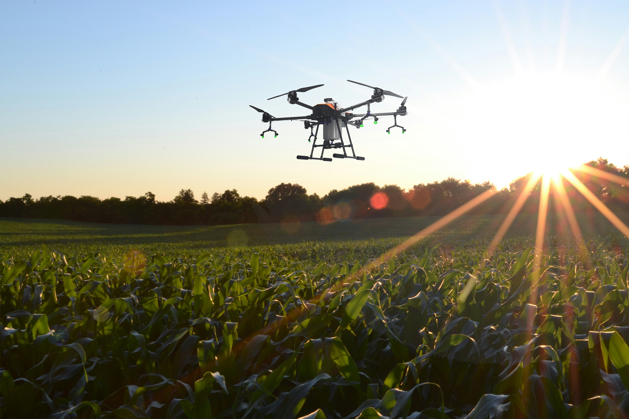 Mastering the First Impression: Your intriguing post title goes here